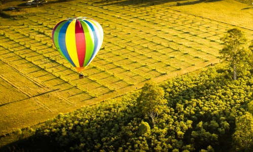  Balloon ride in the Hunter Valley